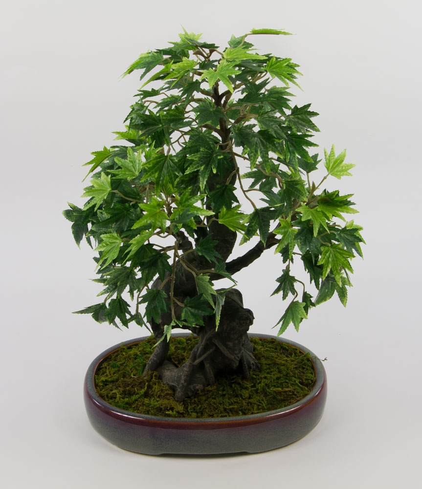 Bonsai Japanischer Ahorn 38x28cm PF Kunstbaum Kunstpflanzen künstlicher Baum eBay