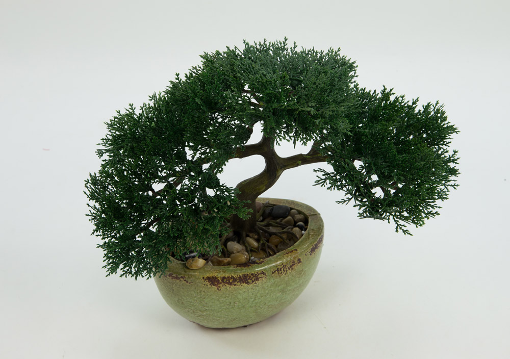 Bonsai Zeder 32x26cm in Keramikschale DP künstlicher Baum Kunstbaum eBay