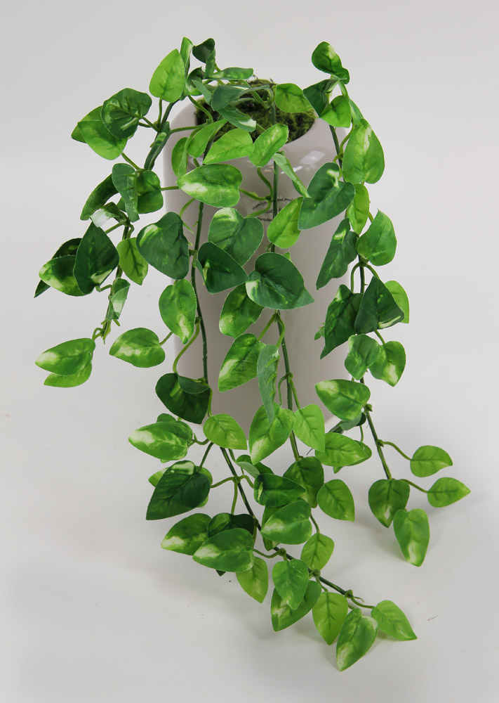 Philoranke 45cm grüngelb JA Kunstpflanzen künstliche Ranken Pflanzen eBay