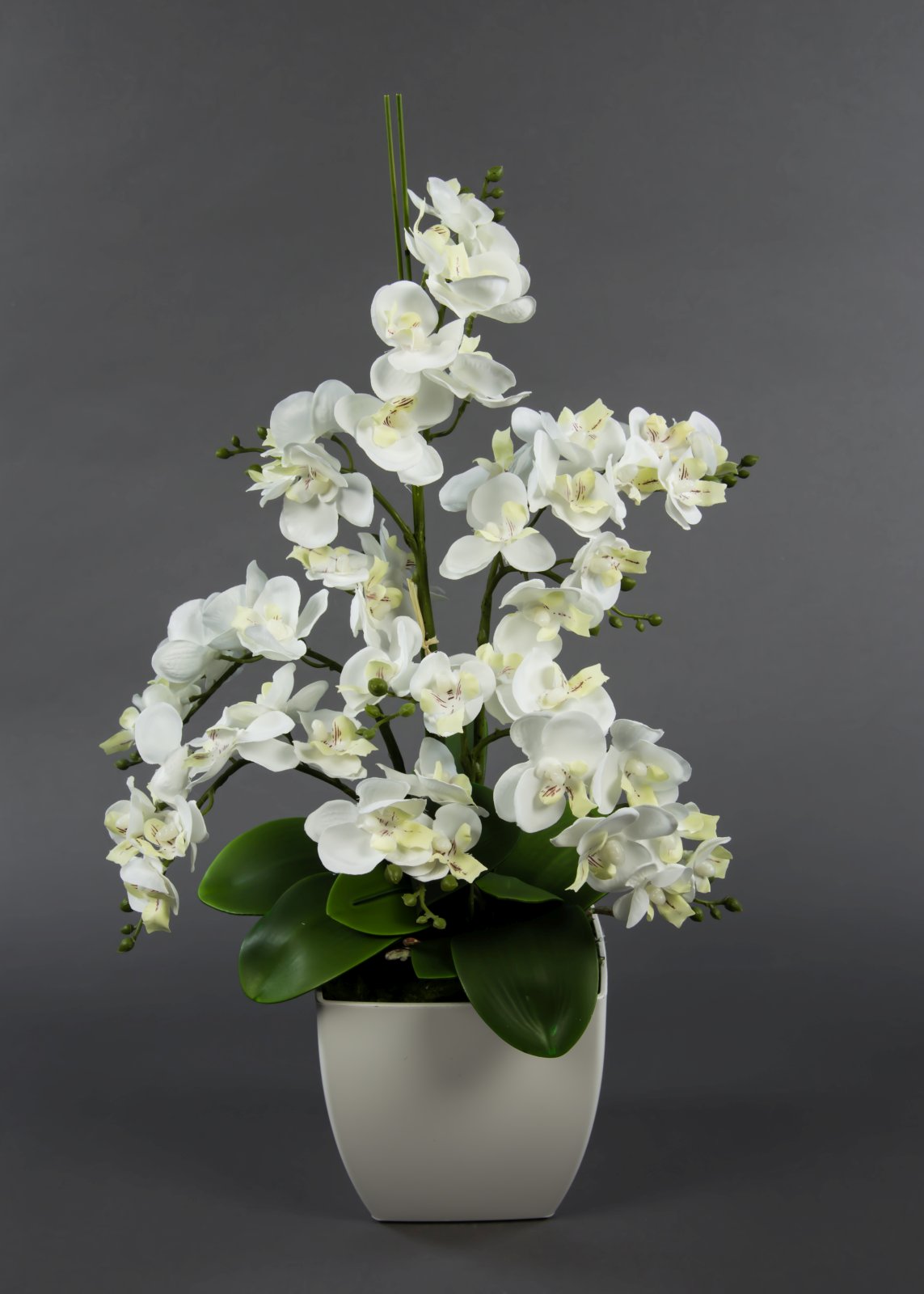 Orchideen-Arrangement weiß im weißen Dekotopf JA